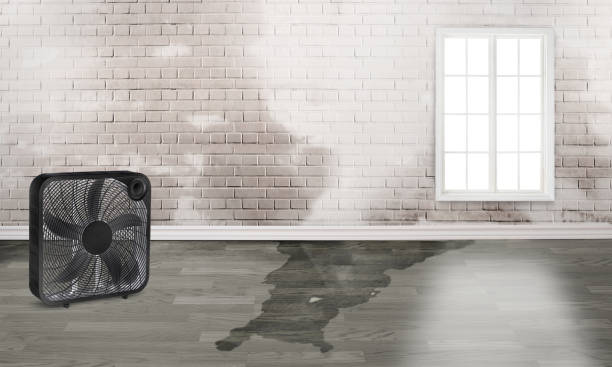 Best 24-hour water damage restoration  in Gates Mills, OH