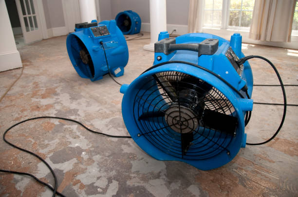 Best Water damage cleanup near me  in Gates Mills, OH