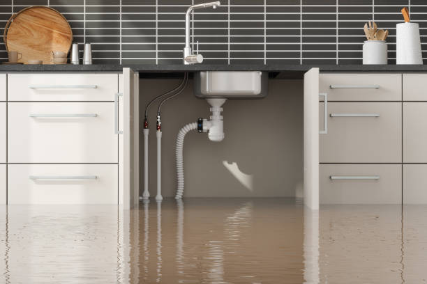 Best Water damage contractors near me  in Gates Mills, OH