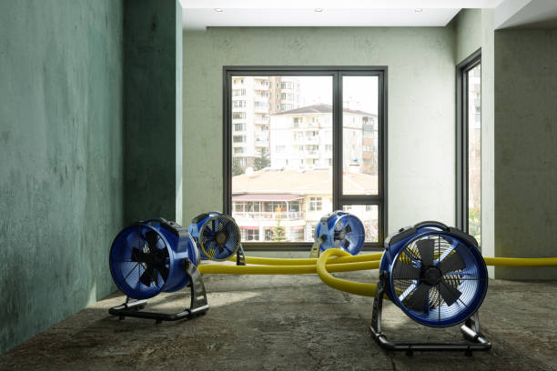 Best Water damage repair service  in Gates Mills, OH